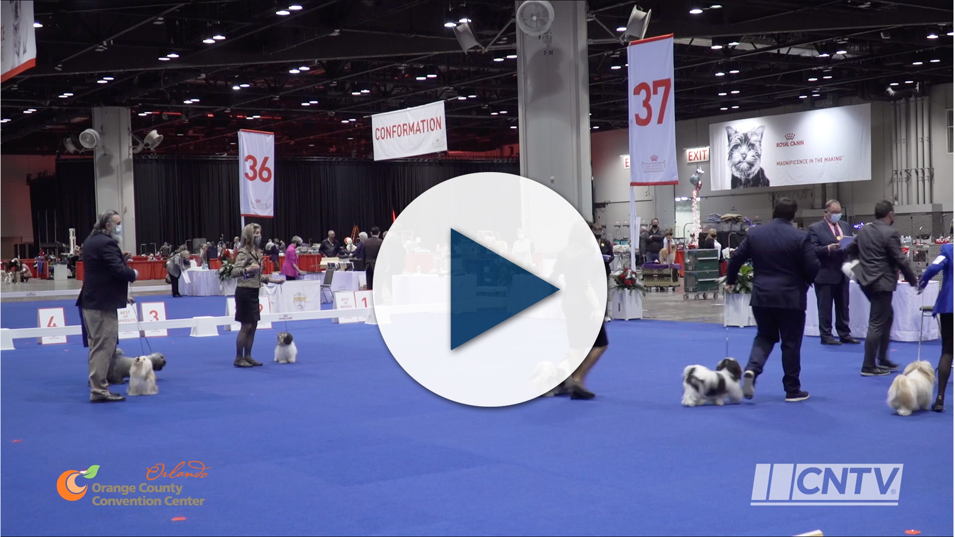 IAEE TV Newscast\ 620x348